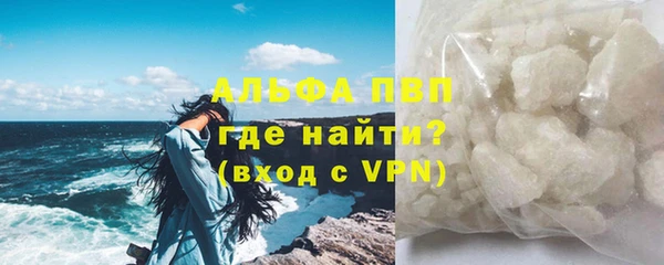шишки Верея