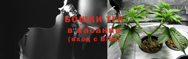 шишки Верея