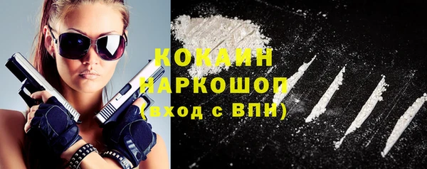 шишки Верея