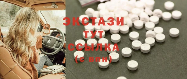 шишки Верея