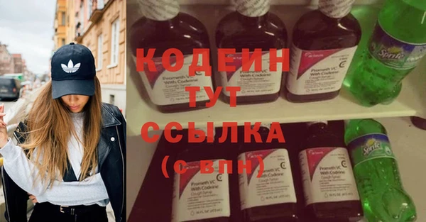 шишки Верея