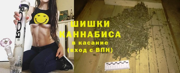 шишки Верея