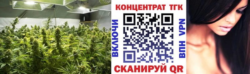 цена   Карабаш  ТГК гашишное масло 